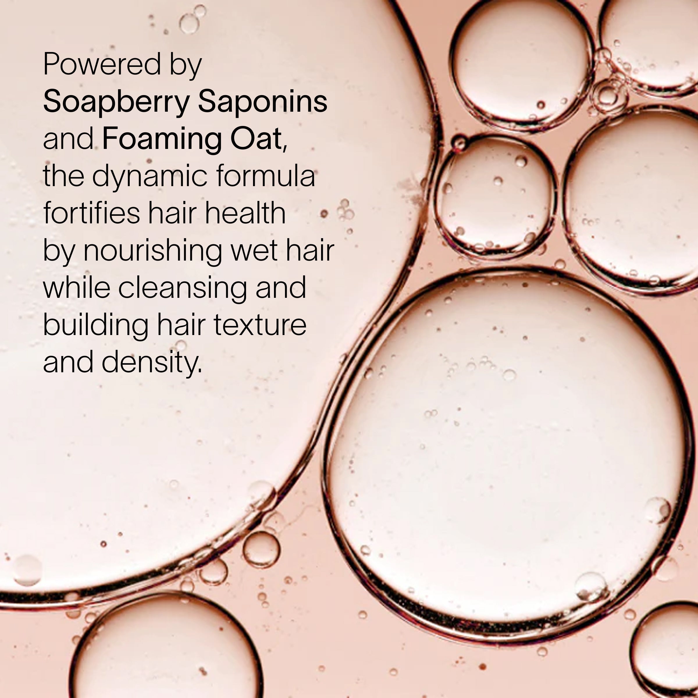 Detoxifying Shampoo for Aging Hair | Sulfate-Free & Hormone-Safe